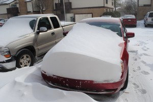 Oklahoma Blizzard 2011